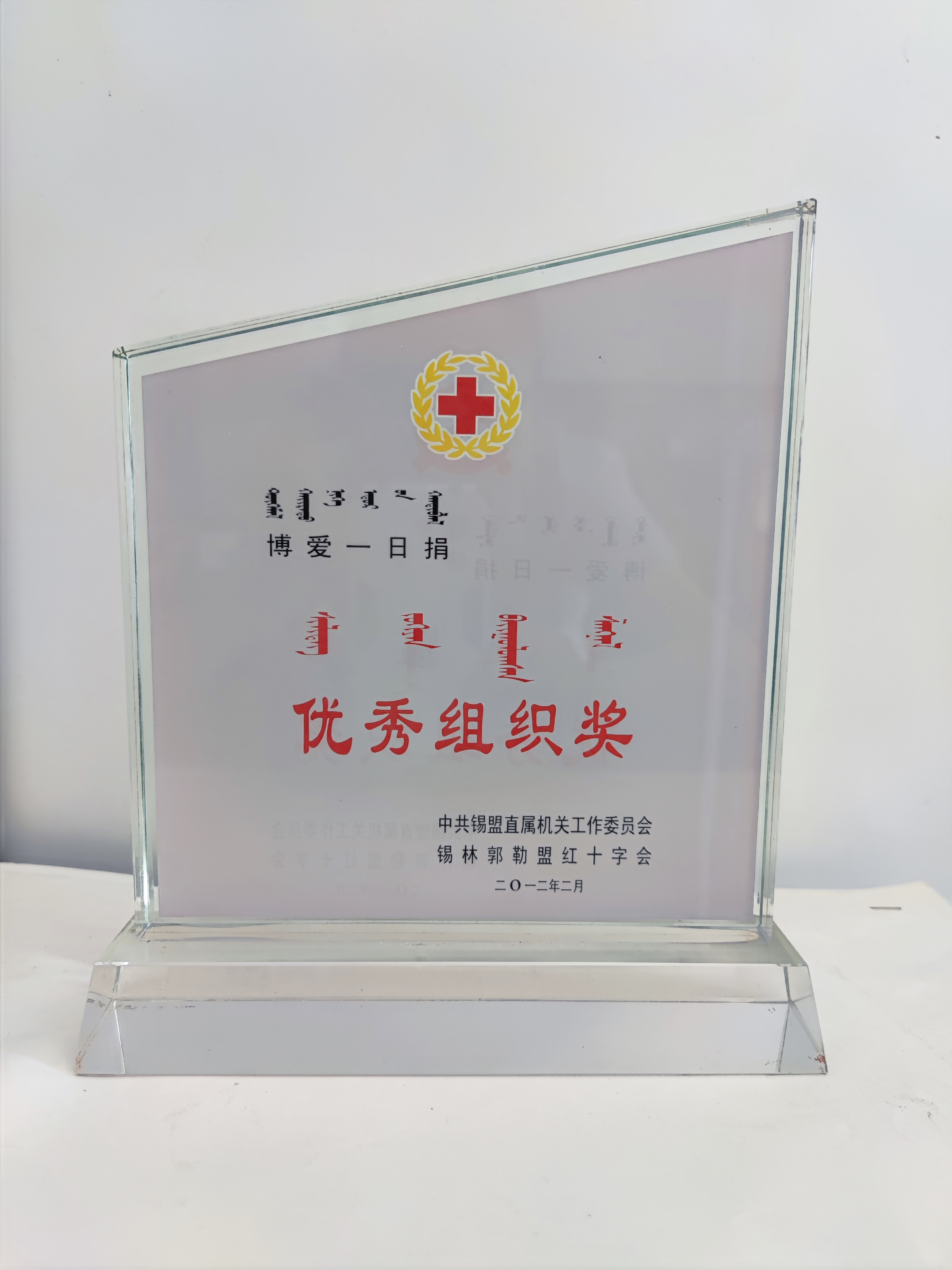 博愛一日捐優(yōu)秀組織獎